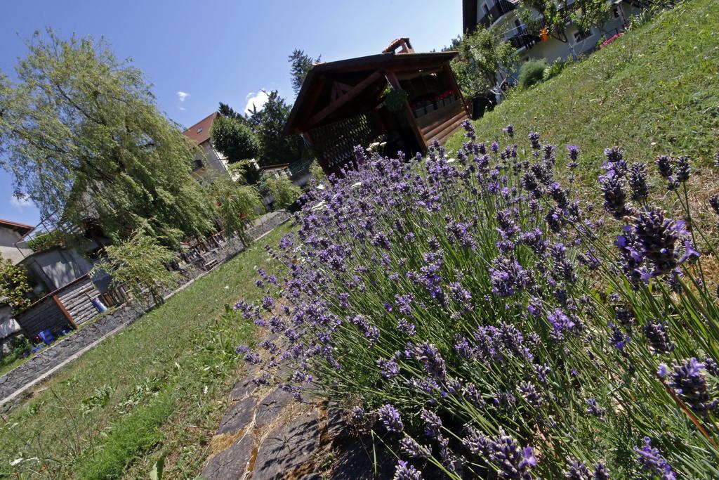 Apartment House Lalita Fužine Exterior foto